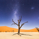 A Night At Deadvlei